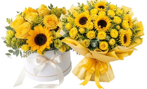 Flores Amarillas y Girasoles